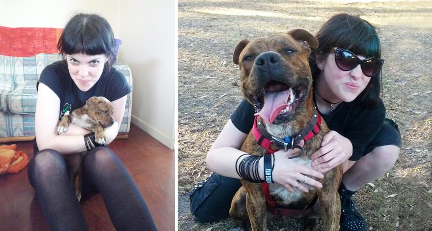 собаки до и после того как выросли