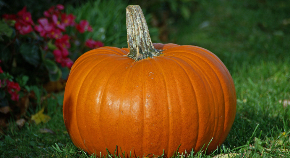 Не навязывайте мне ваш хэллоуин! Почему в СССР об этом слыхом не слышали?