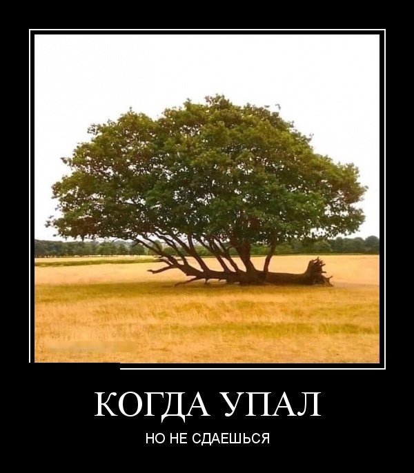 Демотиваторы на 5 февраля Демотиваторы на 5 февраля