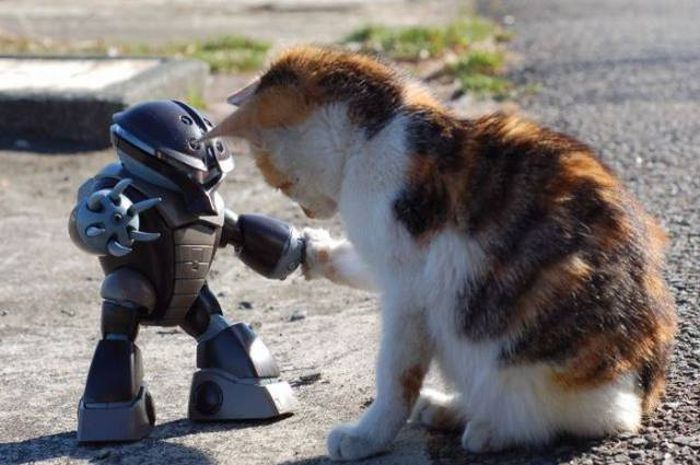 Классные и прикольные фотографии для хорошего настроения и улыбки 