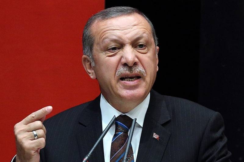 Эрдогану уже мало "Турецкого потока"? геополитика