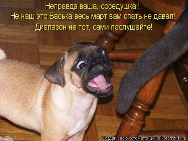 Мысли вслух :)