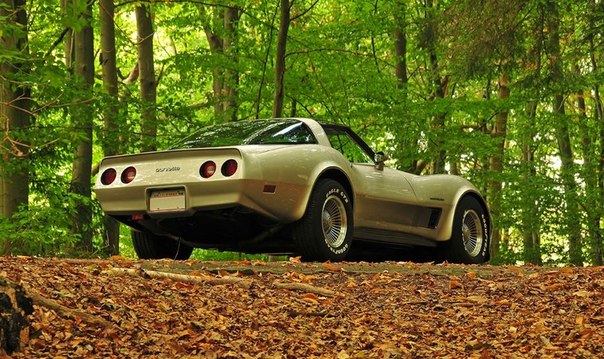 1982 Chevrolet Corvette Collector EditionСтоимость: 15 000 $ ...