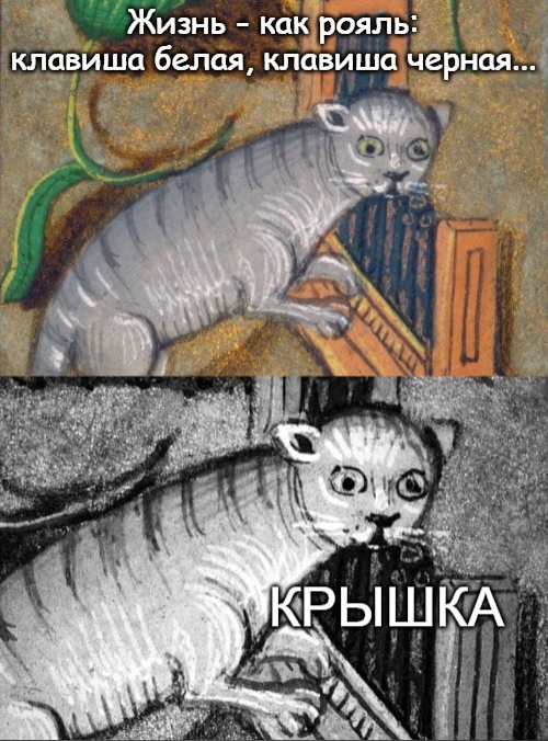 Юмор из интернета 689 позитив,смех,улыбки,юмор