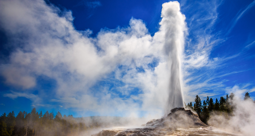 Yellowstone