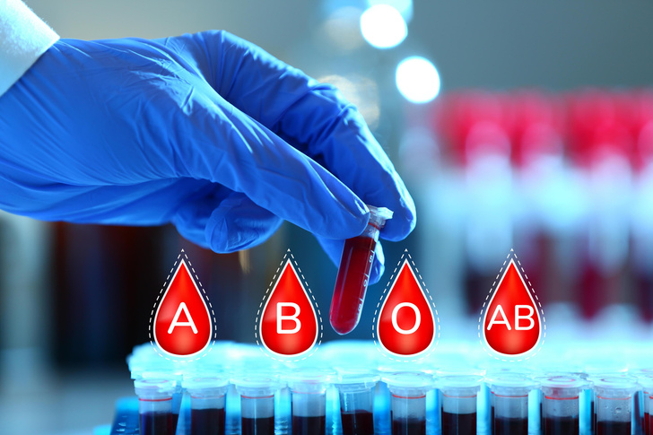Как узнать свою группу крови и для чего это необходимо? Отвечает врач Группа крови,Медицина и здоровье