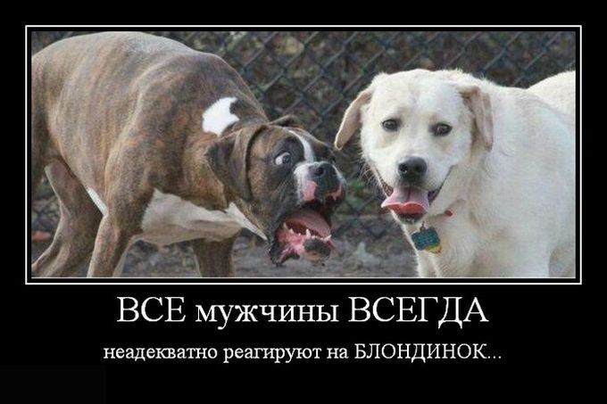 �������� ��� ������ � ��������, �������� �������� �����