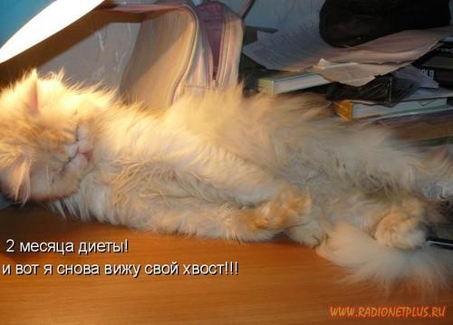 Давайте улыбаться вместе! :) Давайте улыбаться вместе! :)