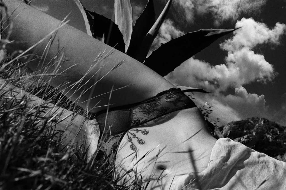 Черно-белое ню: идеальные женщины Черно-белое ню: идеальные женщины