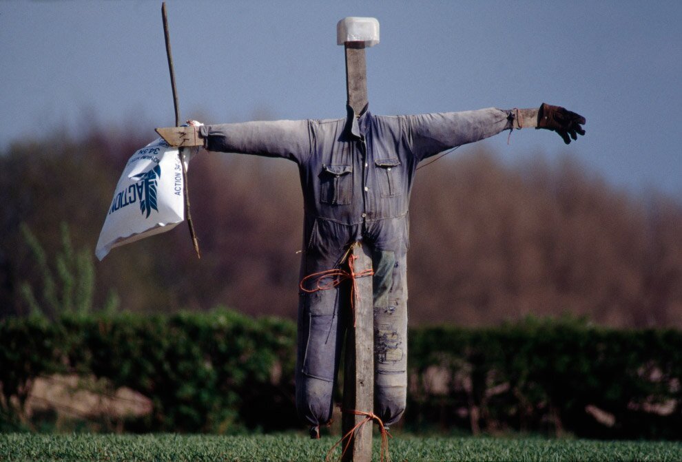 Пугала из сельской местности Англии