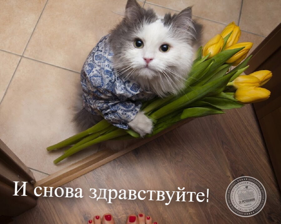 8 марта