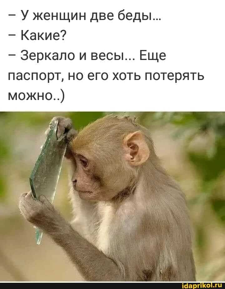 - Представляешь, один мужик в завещании оставил сто тыщ баксов одной бабе... одной, красивая, человек, дверь, чтобы, сгорели, говорит, совсем, вчера, Представляешь, когда, Астана, Смотри, просить, охренелКум, такая, трахнет, такоеКума, облегченно, думала