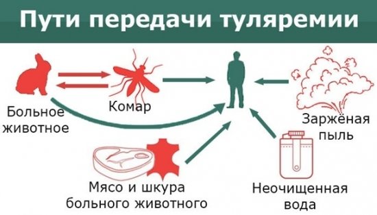 На Украине обнаружена вспышка инфекции, от которой в стране нет вакцин