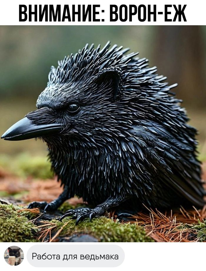 Комментарии с перчинкой — приправляют пост, как острый соус 