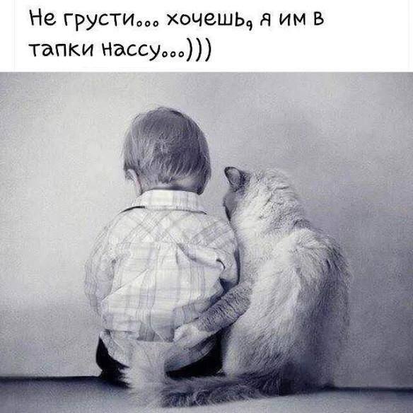 Собрался на рыбалку. Не смог найти сигареты. Взял сигареты сына. Через час поймал трех дельфинов, двух акул и одно лохнесское чудовище веселые картинки