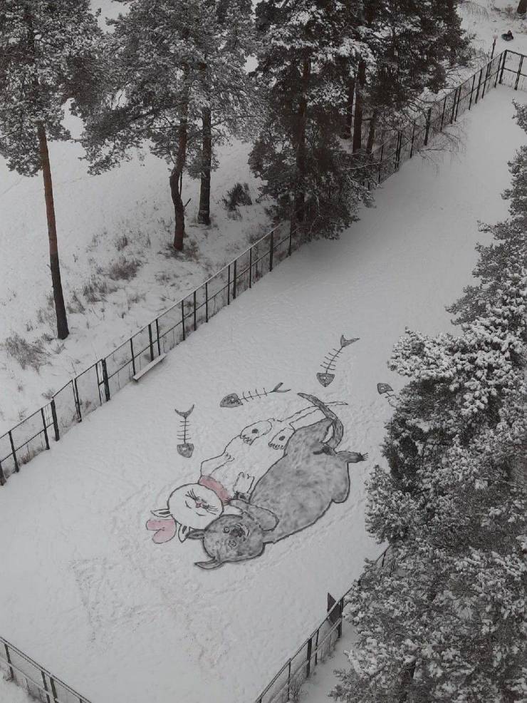 Подборка прикольных картинок  приколы,смешные картинки,юмор