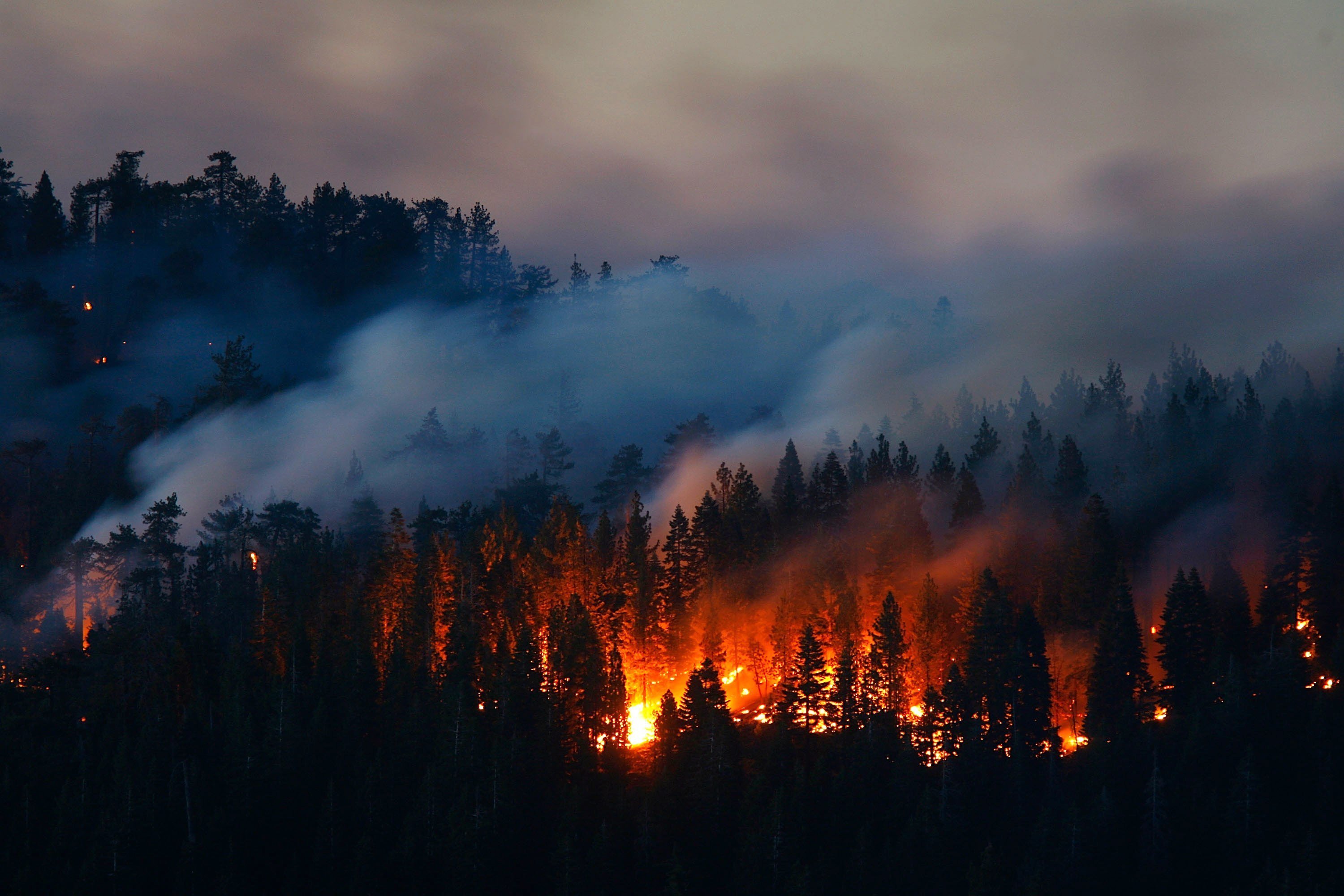 Сколько леса сгорело на планете за 2019 год: ученые представили пугающее видео пожаров, также, углекислого, нашей, каждый, площади, которые, планеты, Калифорния, Австралия, является, возгорания, крупные, северу, более, лесных, выбросы, промышленные, пожары, Америке