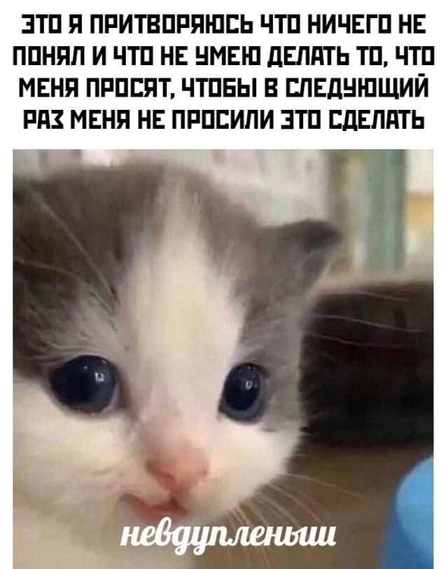 Подборка прикольных картинок  приколы,смешные картинки,юмор