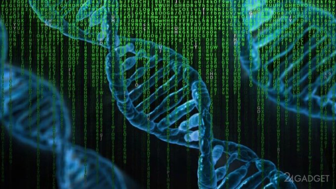 Microsoft работает над хранилище информации на базе ДНК