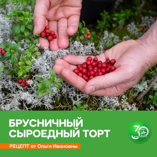 Для тех, кто хочет отказаться от традиционных вредных сладостей.