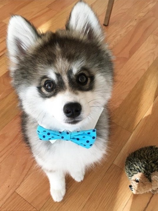 Подборка интересных и веселых картинок №42 Подборка интересных и веселых картинок №42 отдых