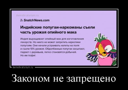 Свежие демотиваторы-приколы (13 шт)