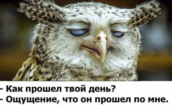 День социального, прикольные картинки устал от работы