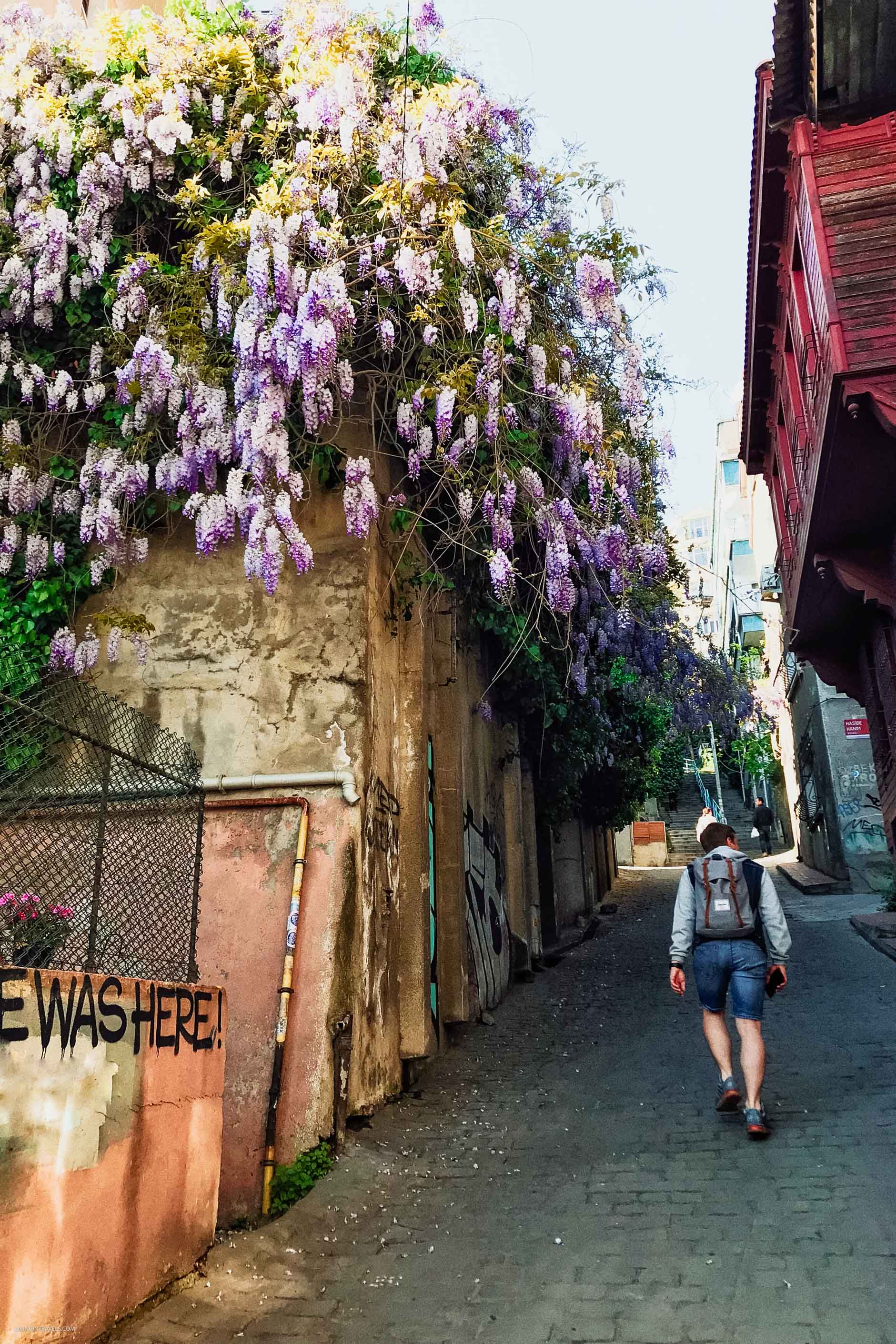 10 причин почему я не люблю Стамбул 10 причин почему я не люблю Стамбул страны,туризм