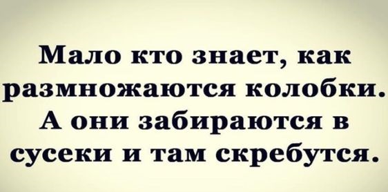 Как мало нужно, чтобы сделать жизнь невыносимой! Камешек в ботинке, таракан в макаронах, женский смех! Как мало нужно, чтобы сделать жизнь невыносимой! Камешек в ботинке, таракан в макаронах, женский смех! Соскучились , моим , картинкам , погналиИнструменты, власти, кнута, запах, пряника , Нутес , пожалуй , закончим , новых , встреч