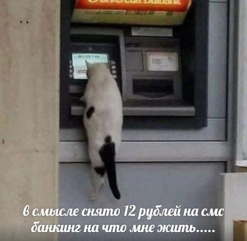 Прикольные картинки для всех Прикольные картинки для всех