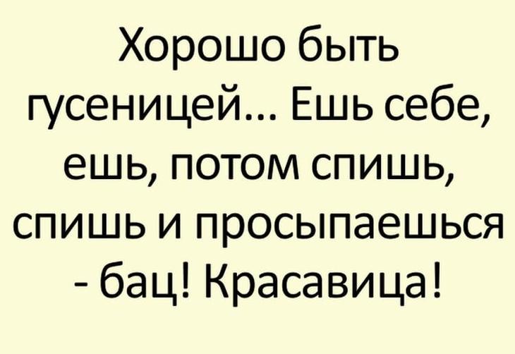 15 жизненных коротких и смешных историй от интернет-пользователей 