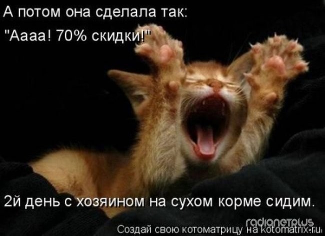 24 картинки развлекательного характера со зверьем 