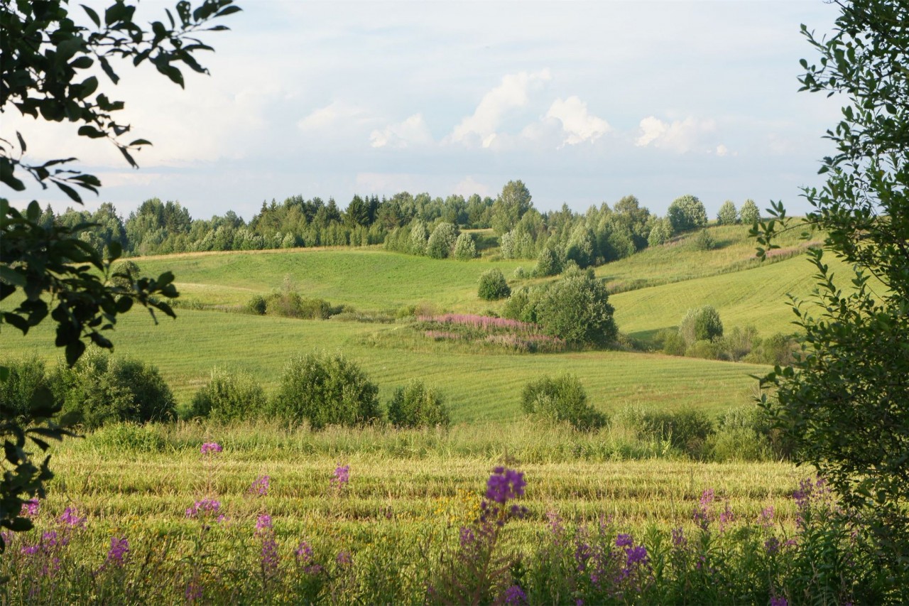 Картинки родины россии, дню