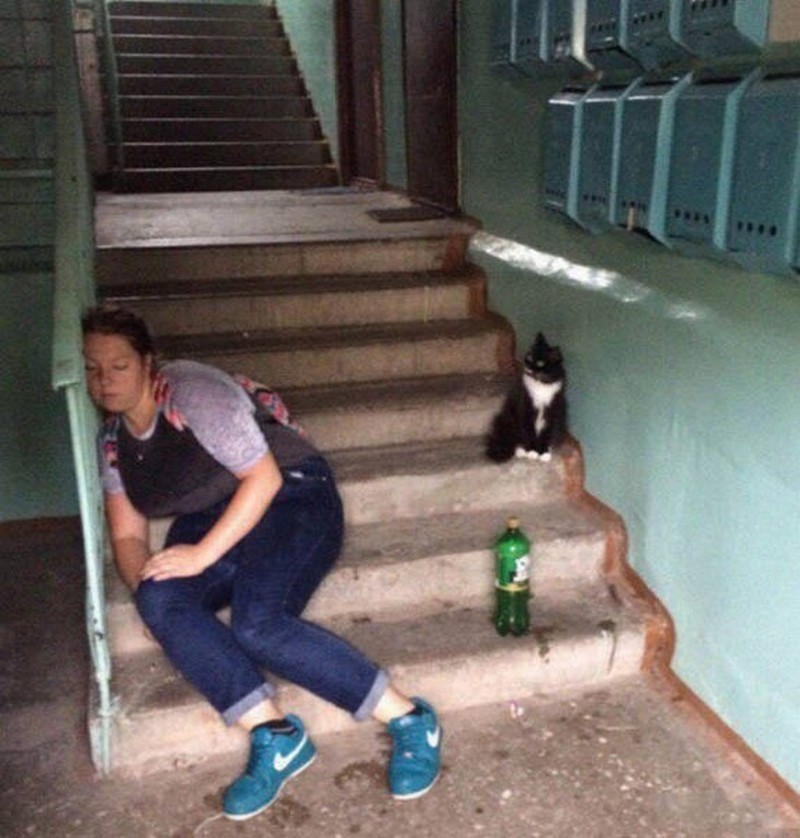 Сумасшедшие девушки девушки, прикол, сумашедшие девушки, юмор