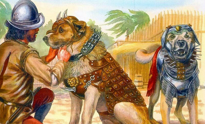 Бесерильо: собака конкистадоров, которую вывели для покорения Америки