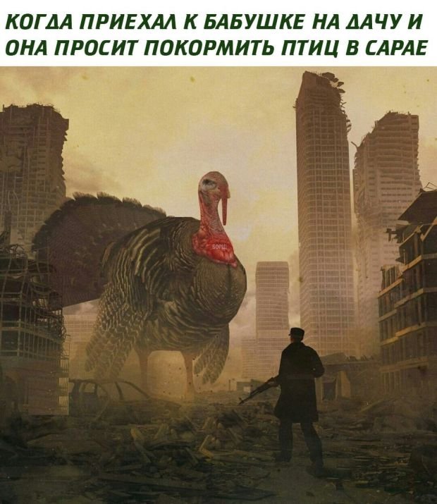 Ты можешь не смотреть телевизор, но всегда будешь иметь дело с теми, кто его смотрит Ты можешь не смотреть телевизор, но всегда будешь иметь дело с теми, кто его смотрит анекдоты