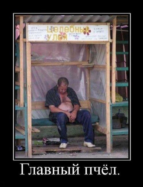 Демотиваторы - приколы на вторник 5 марта Демотиваторы - приколы на вторник 5 марта