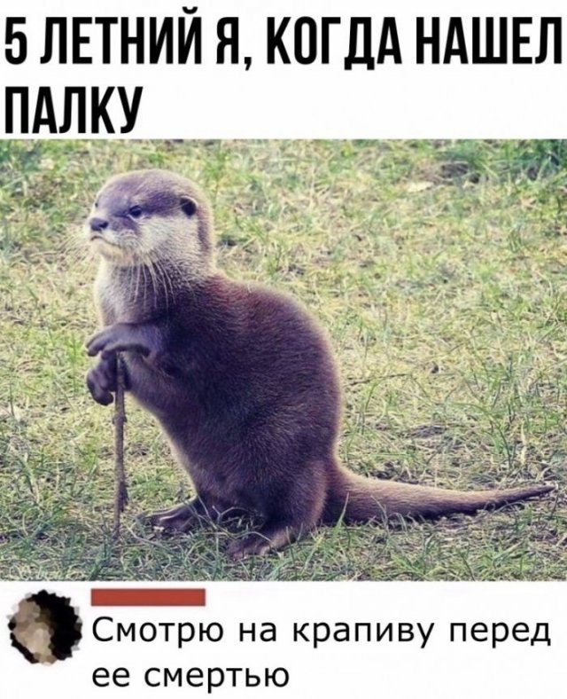 Смешные комментарии к постам в социальных сетях Смешные комментарии к постам в социальных сетях позитив,смешные картинки,юмор