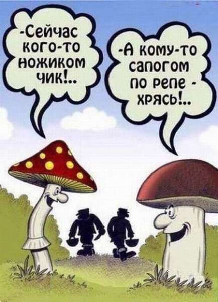 - Ты знаешь, что следующий год будет годом мыши? - А когда будет год клавиатуры? веселые картинки,Хохмы-байки,юмор