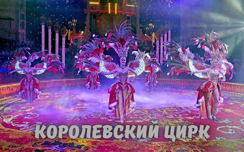 Купить билеты в Королевский цирк