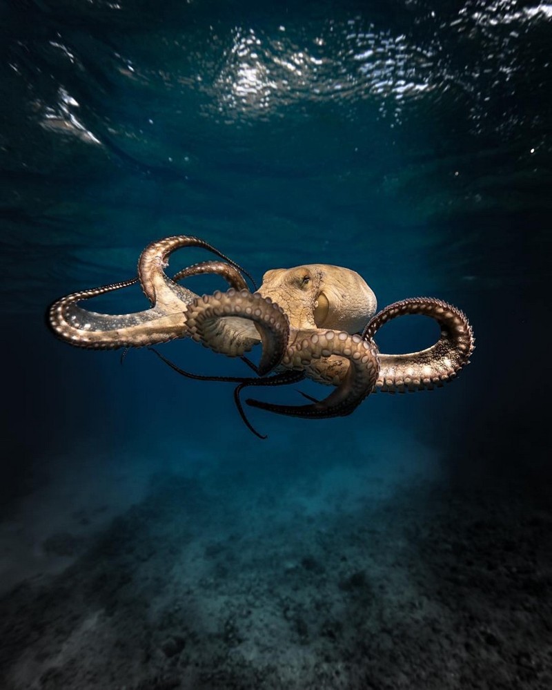 Немного прикольных картинок картинки, подборка картнок, прикол, юмор