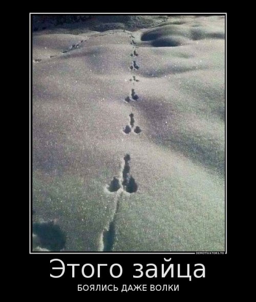 Очередная порция демотиваторов 