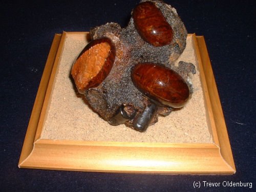 Фейк про 300-миллионолетние ручки, найденные в угольном пласте Фейк про 300-миллионолетние ручки, найденные в угольном пласте история,интересное,былые времена