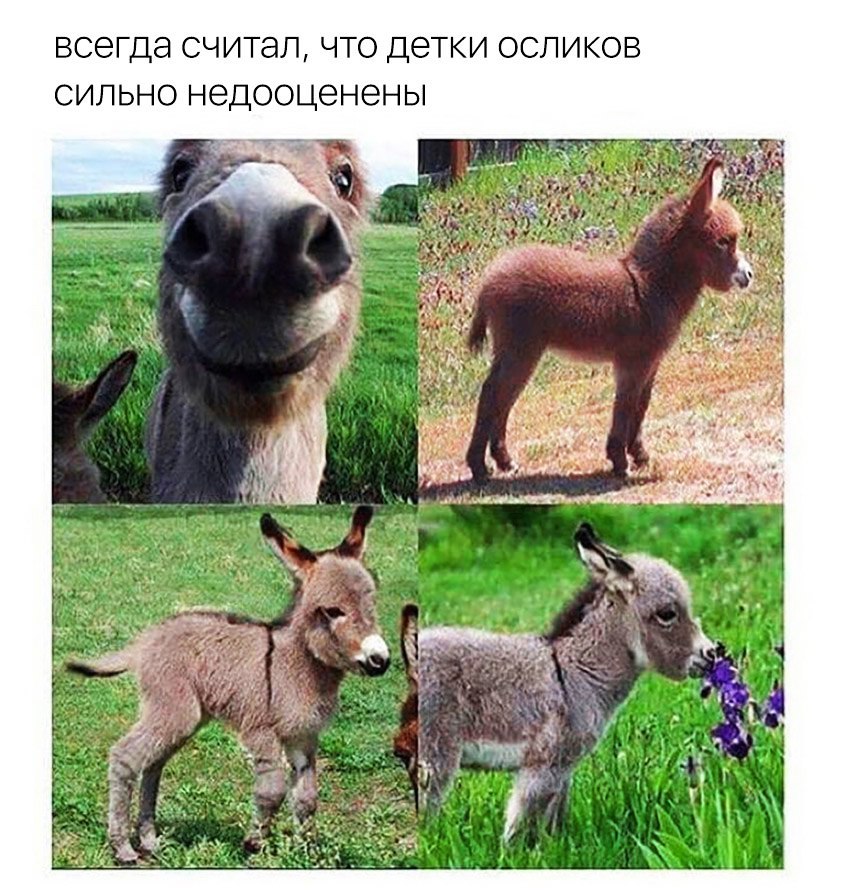 Прикольные, зачетные и классные фотографии с надписью со смыслом