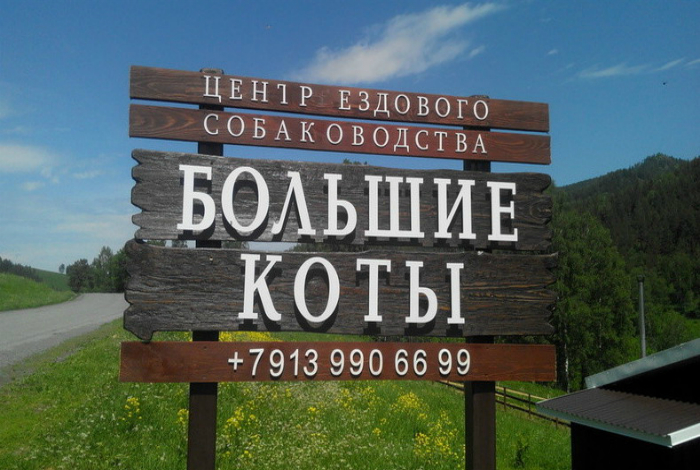 Снимки, которые полностью ломают понятие о логике и здравом смысле Снимки, которые полностью ломают понятие о логике и здравом смысле