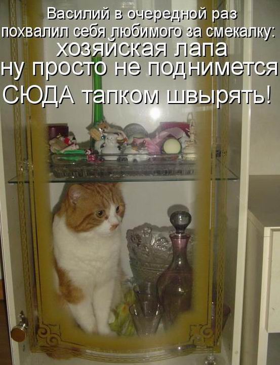 Мысли вслух :)