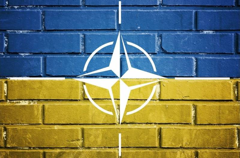 На Украине предложили поставить России три условия невступления Киева в НАТО