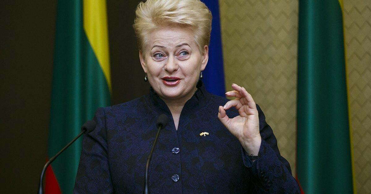 В ООН Литве предсказали исчезновение и сравнили её с Сирией