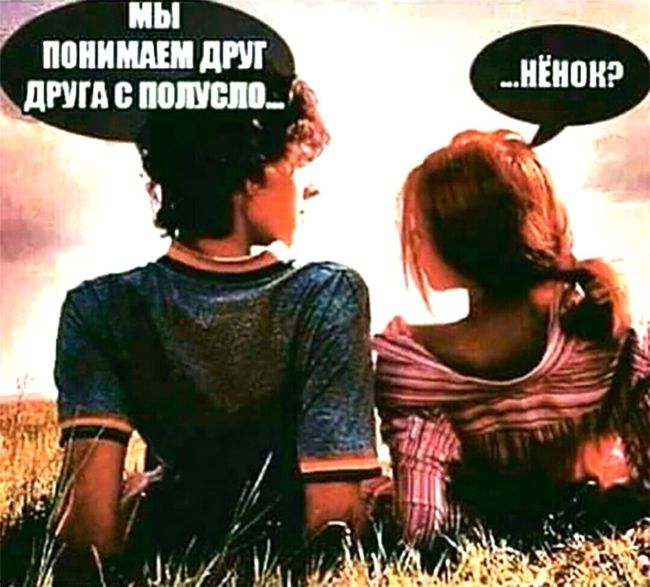 Веселые картинки и смешные фото с надписями 