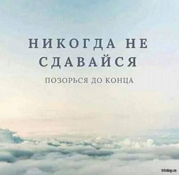 Подборка прикольных картинок  смешные картинки